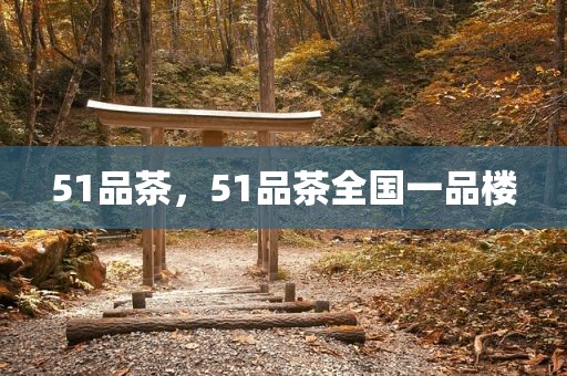 51品茶，51品茶全国一品楼