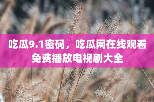 吃瓜9.1密码，吃瓜网在线观看免费播放电视剧大全