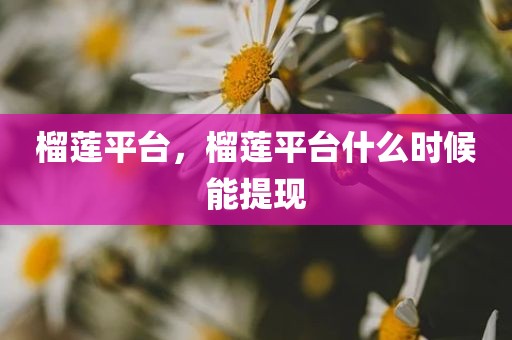 榴莲平台，榴莲平台什么时候能提现