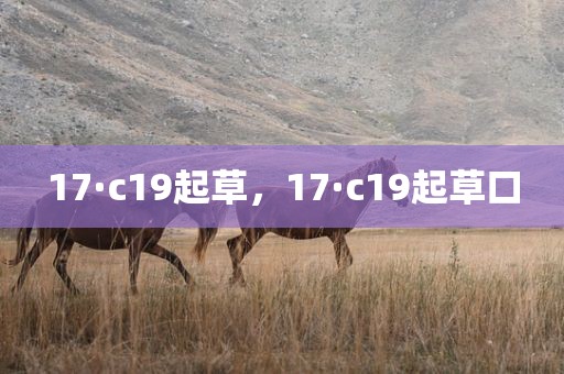17·c19起草，17·c19起草口