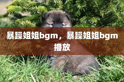 暴躁姐姐bgm，暴躁姐姐bgm播放