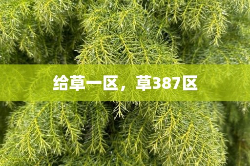 给草一区，草387区
