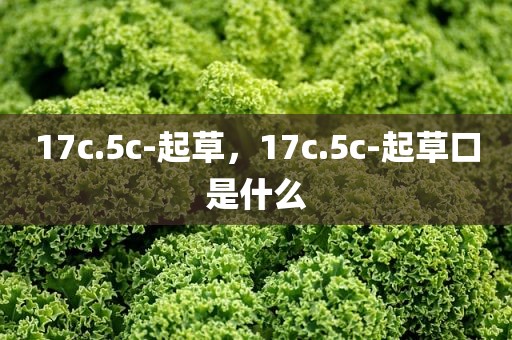 17c.5c-起草，17c.5c-起草口是什么