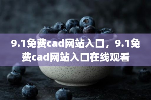 9.1免费cad网站入口，9.1免费cad网站入口在线观看