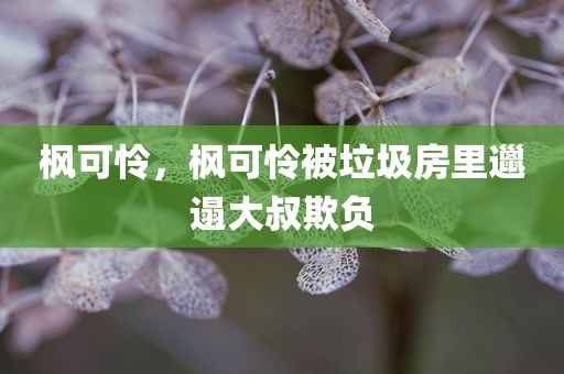 枫可怜，枫可怜被垃圾房里邋遢大叔欺负
