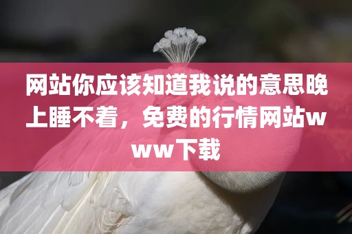 网站你应该知道我说的意思晚上睡不着，免费的行情网站www下载