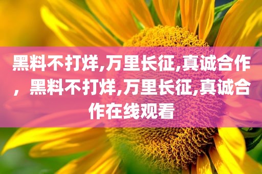黑料不打烊,万里长征,真诚合作，黑料不打烊,万里长征,真诚合作在线观看