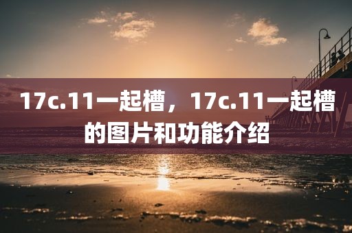 17c.11一起槽，17c.11一起槽的图片和功能介绍