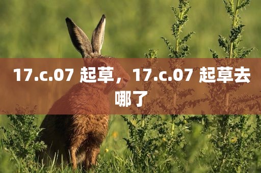 17.c.07 起草，17.c.07 起草去哪了