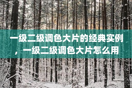一级二级调色大片的经典实例，一级二级调色大片怎么用