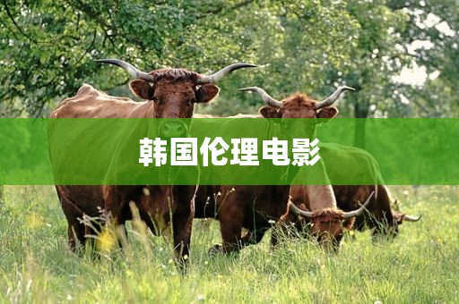 韩国伦理电影