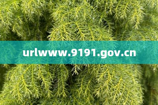 urlwww.9191.gov.cn