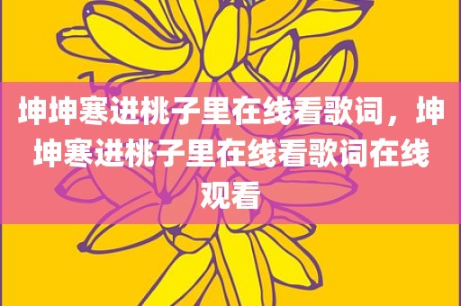 坤坤寒进桃子里在线看歌词，坤坤寒进桃子里在线看歌词在线观看