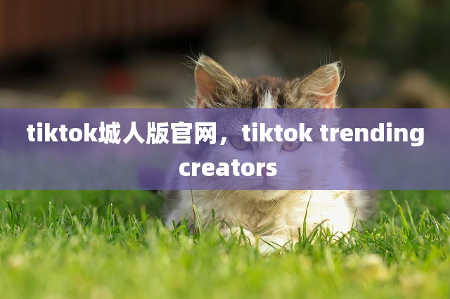 tiktok城人版官网，tiktok trending creators
