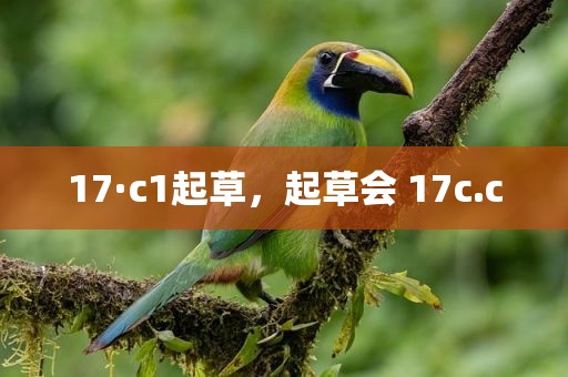 17·c1起草，起草会 17c.c