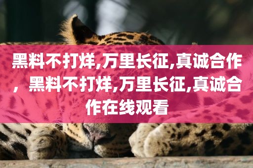 黑料不打烊,万里长征,真诚合作，黑料不打烊,万里长征,真诚合作在线观看