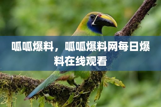 呱呱爆料，呱呱爆料网每日爆料在线观看