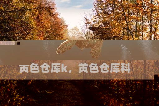 黄色仓库k，黄色仓库科