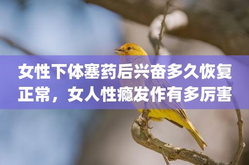 女性下体塞药后兴奋多久恢复正常，女人性瘾发作有多厉害