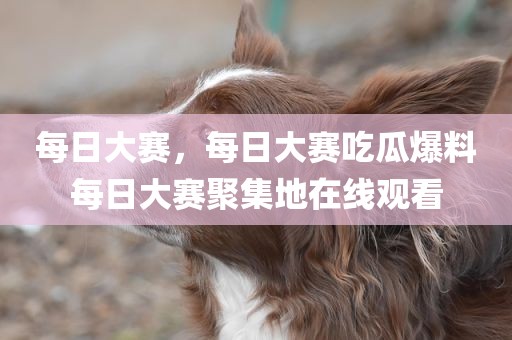 每日大赛，每日大赛吃瓜爆料每日大赛聚集地在线观看