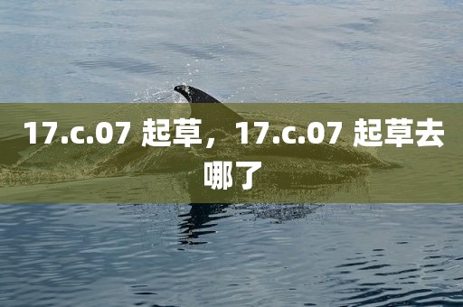 17.c.07 起草，17.c.07 起草去哪了