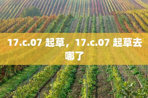 17.c.07 起草，17.c.07 起草去哪了