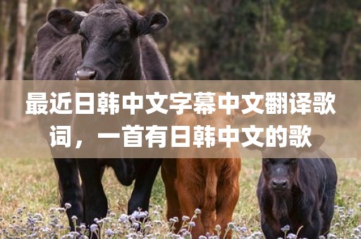 最近日韩中文字幕中文翻译歌词，一首有日韩中文的歌