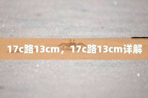 17c路13cm，17c路13cm详解