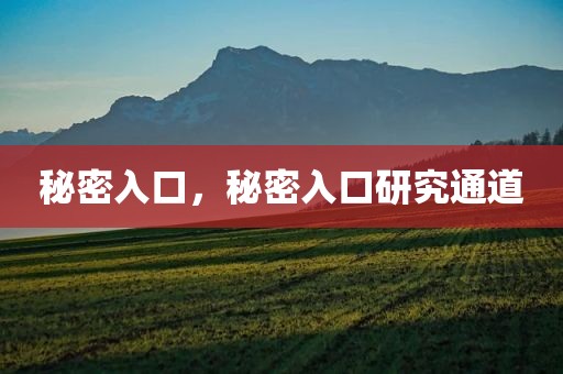 秘密入口，秘密入口研究通道