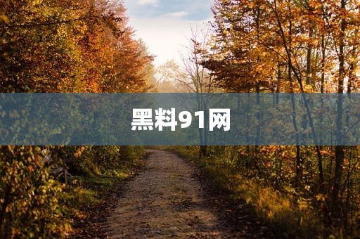 黑料91网
