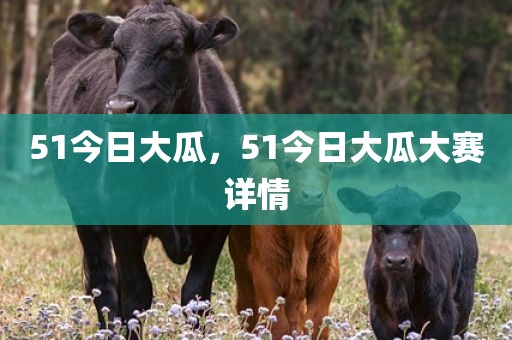51今日大瓜，51今日大瓜大赛详情