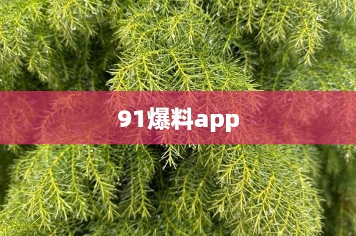 91爆料app