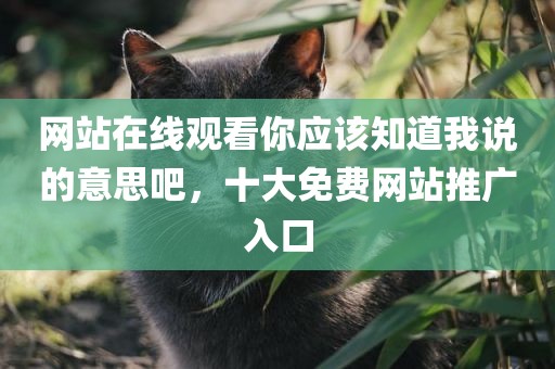 网站在线观看你应该知道我说的意思吧，十大免费网站推广入口