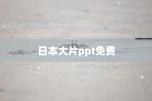日本大片ppt免费
