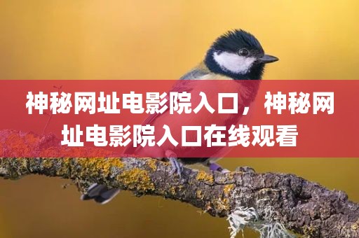 神秘网址电影院入口，神秘网址电影院入口在线观看