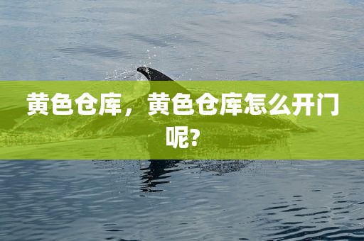 黄色仓库，黄色仓库怎么开门呢?