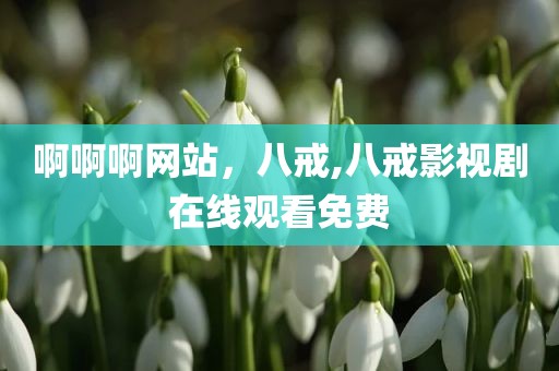 啊啊啊网站，八戒,八戒影视剧在线观看免费