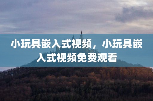小玩具嵌入式视频，小玩具嵌入式视频免费观看