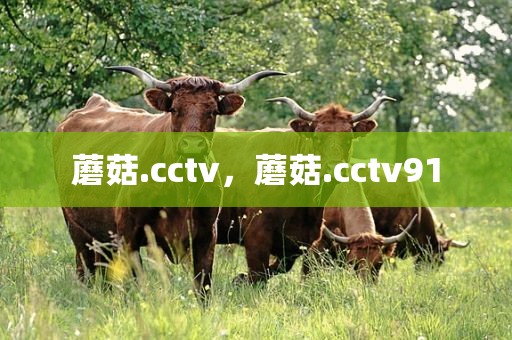 蘑菇.cctv，蘑菇.cctv91