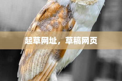 起草网址，草稿网页