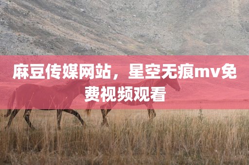 麻豆传媒网站，星空无痕mv免费视频观看