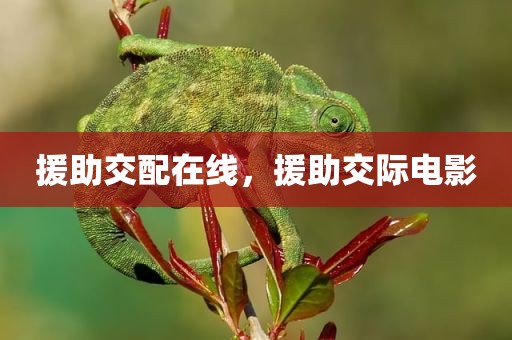 援助交配在线，援助交际电影