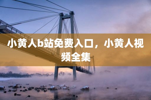 小黄人b站免费入口，小黄人视频全集