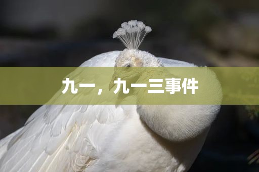 九一，九一三事件