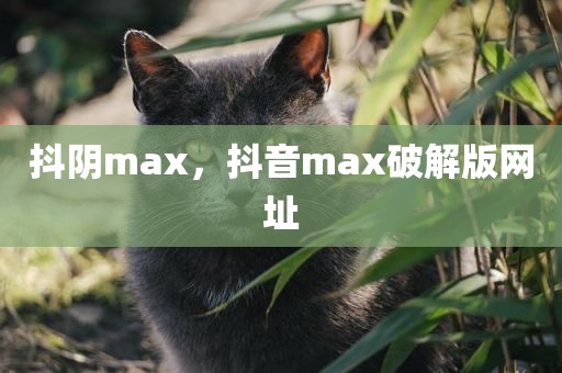 抖阴max，抖音max破解版网址