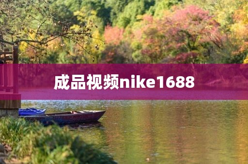 成品视频nike1688