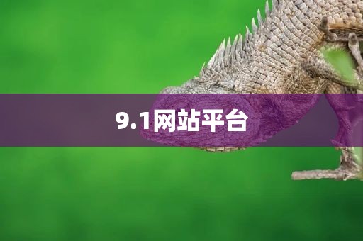9.1网站平台