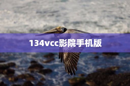 134vcc影院手机版