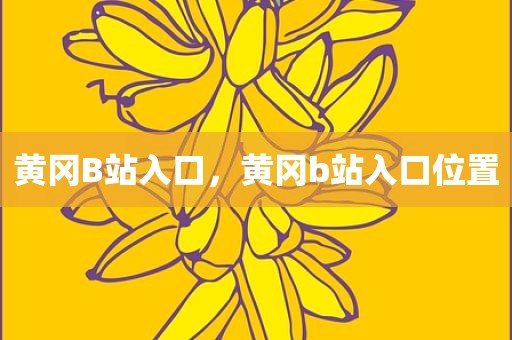 黄冈B站入口，黄冈b站入口位置