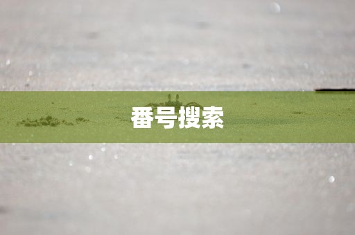 番号搜索